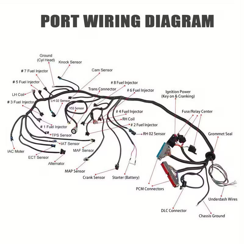 1997-2006 LS SWAPS DBC 4.8 5.3 6.0 Wiring Harness Stand Alone LS1-4L60E For Generic Drive by Cable