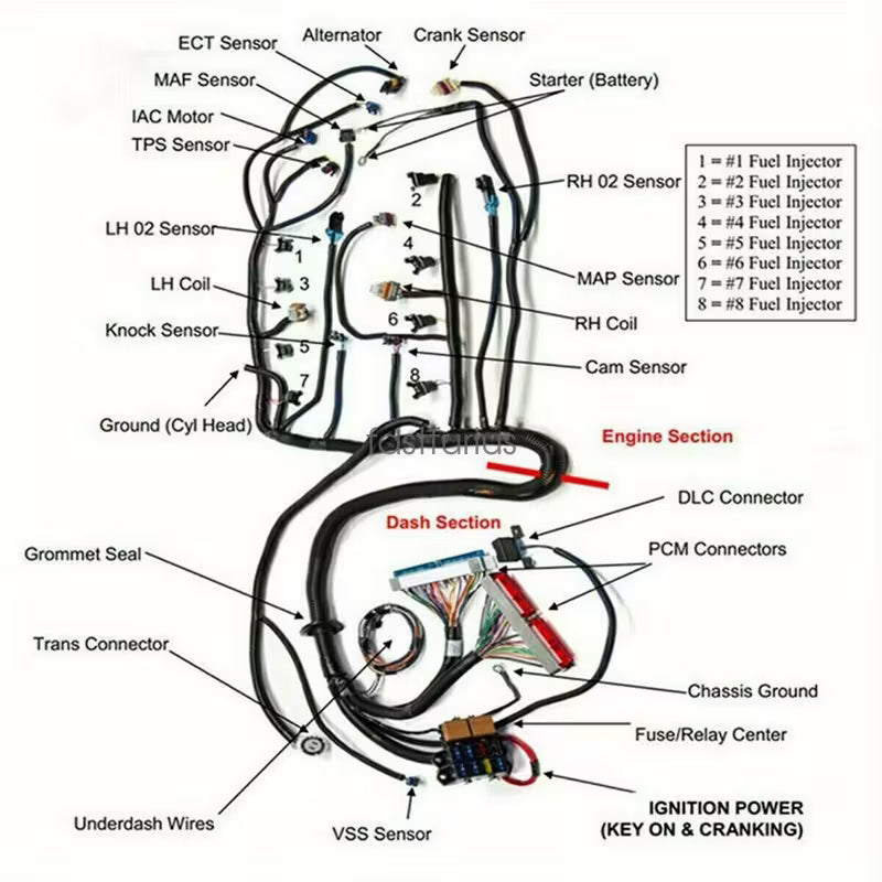 1997-2006 LS SWAPS DBC 4.8 5.3 6.0 Stand Alone Wiring Harness LS1-4L60E, Drive by Cable Throttle Body