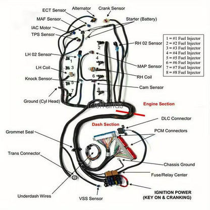 1997-2006 LS SWAPS DBC 4.8 5.3 6.0 Stand Alone Wiring Harness LS1-4L60E, Drive by Cable Throttle Body