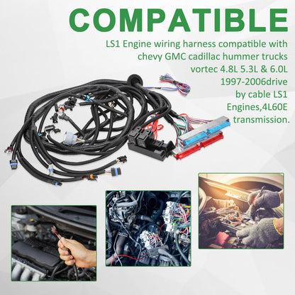 1997-2006 LS SWAPS DBC 4.8 5.3 6.0 Wiring Harness Stand Alone LS1-4L60E For Generic Drive by Cable